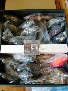 ゴジラ50周年BOX